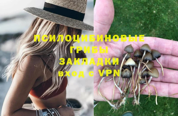 индика Покров