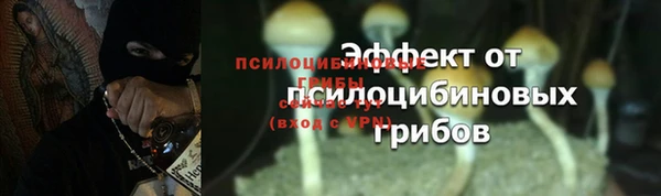 прущий лед Абаза