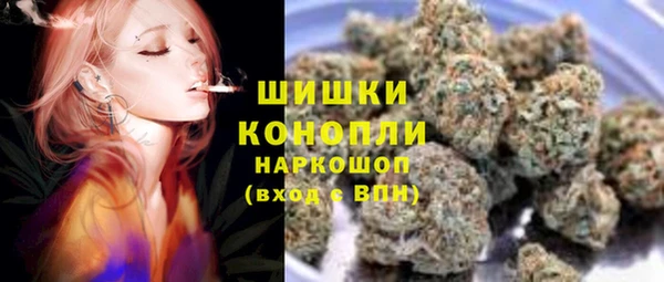 прущий лед Абаза