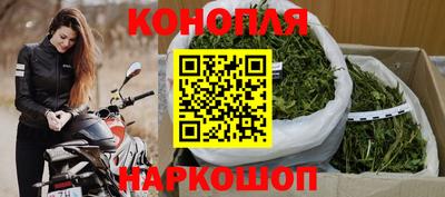 Альфа ПВП Гатчина