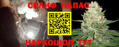 Альфа ПВП Гатчина