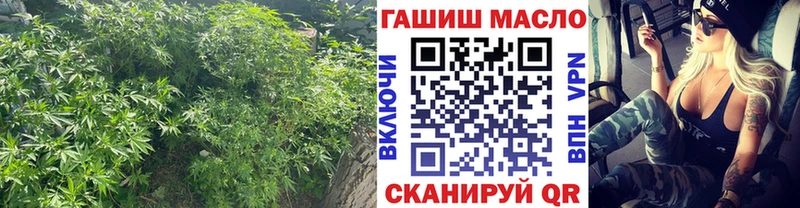 Дистиллят ТГК гашишное масло  закладка  гидра как зайти  Новокубанск 