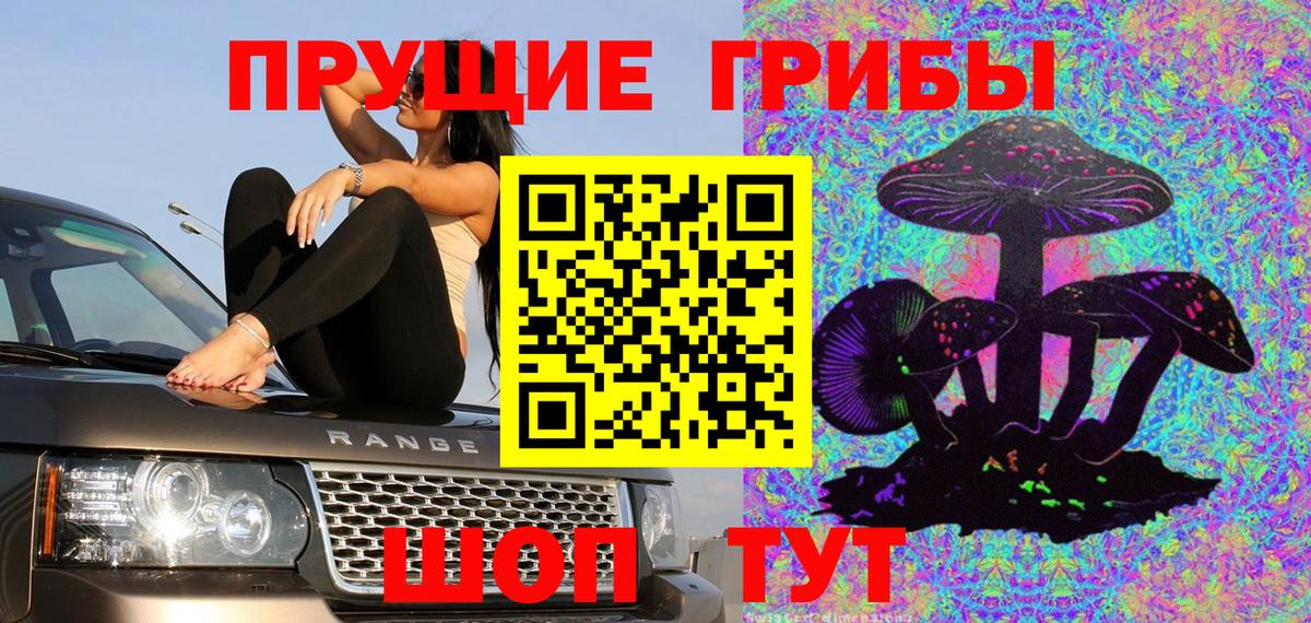 Галлюциногенные грибы Psilocybe  Вход с VPN  Новокубанск 