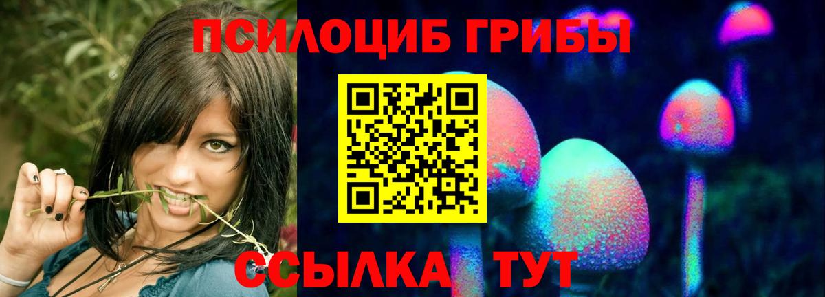 Псилоцибиновые грибы MAGIC MUSHROOMS Новокубанск